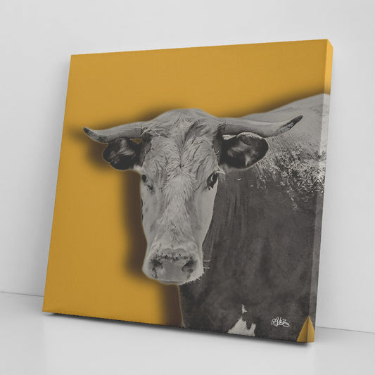 Cow on Canvas teelaunch