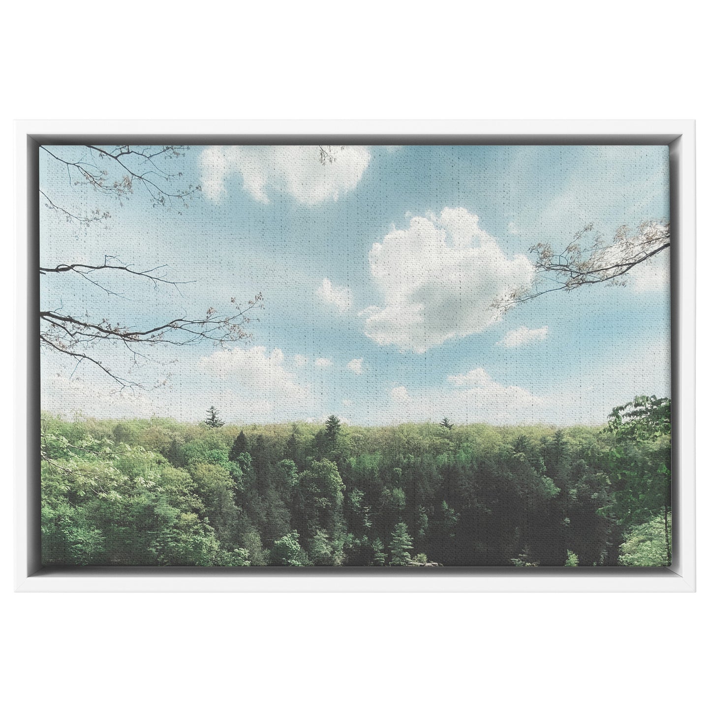 Floater Framed Canvas, "Dream" Landscape Original Fine Art Photography teelaunch