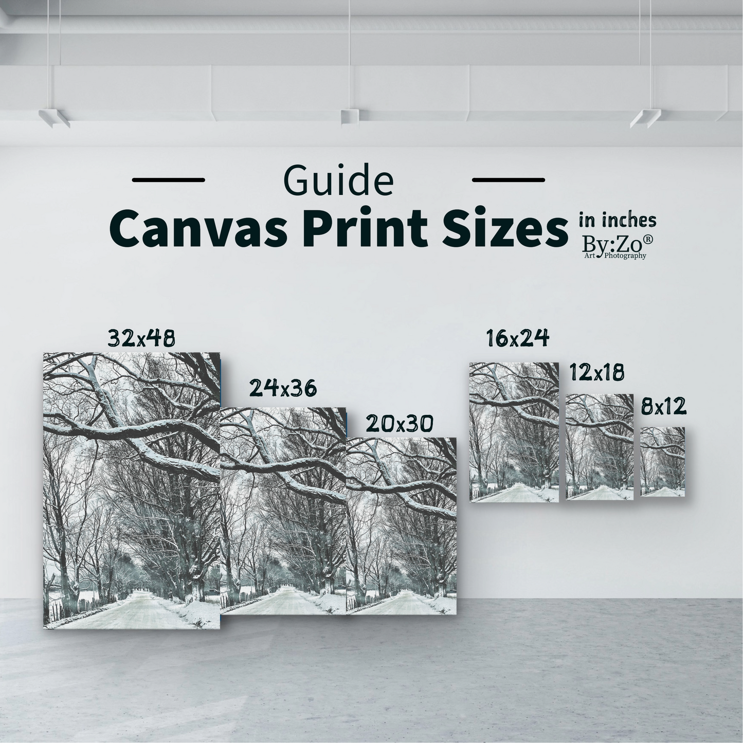 Wrapped Canvas, "Winter Country Road" Original ByZo Art Photography - By:Zo