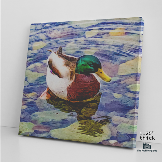 "Duck" Fine Art Photography By:Zo® - By:Zo