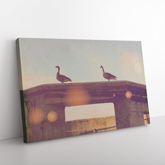 Geese on Ruins By:Zo® - By:Zo