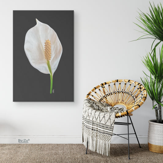 Peace Lily on Wrapped Canvas Original Photography ByZo Art by: Maria Desnoyers