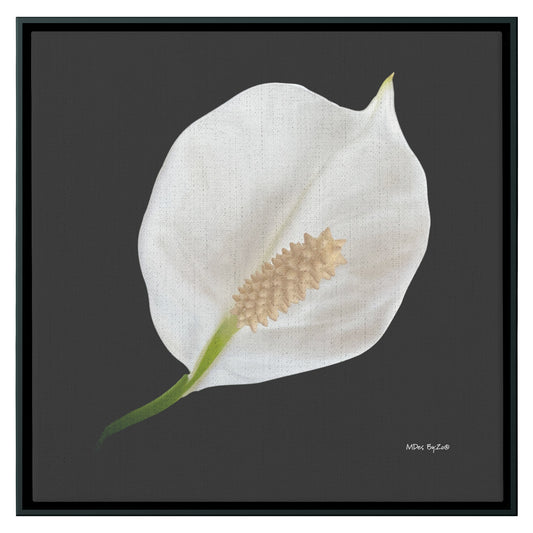 Peace Lily Giclee Print on Floating Framed Canvas Fine Art Photography Print By:Zo® - By:Zo