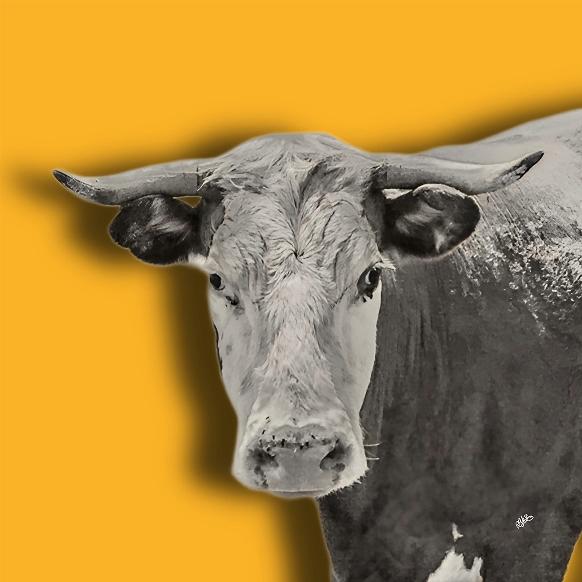 2399567 :: Giclée Poster Satin Photo Paper Print