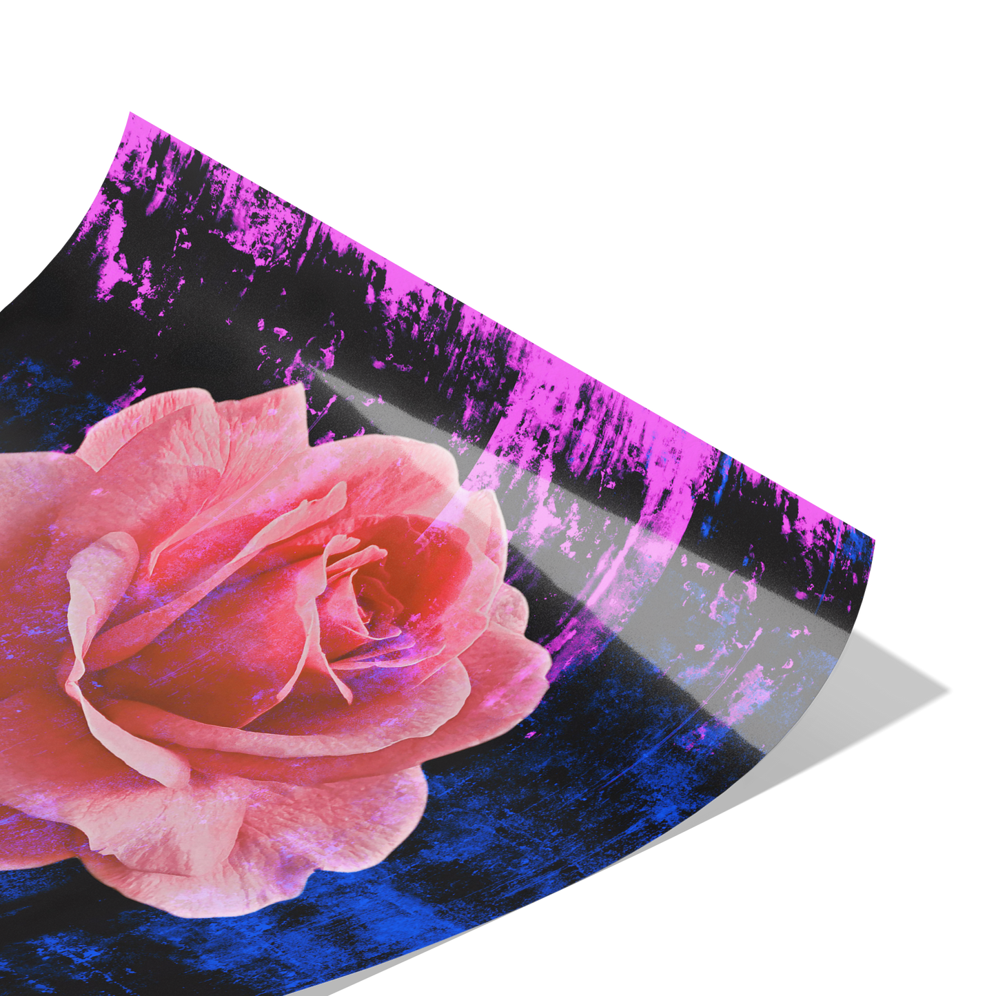 Rose Art Print Original Photography with Color Splashed background by Maria Desnoyers. ByZo Art