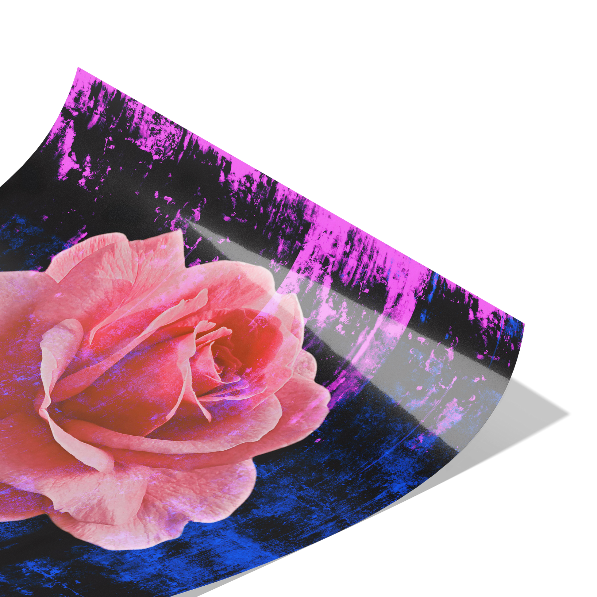 Rose Art Print Original Photography with Color Splashed background by Maria Desnoyers. ByZo Art