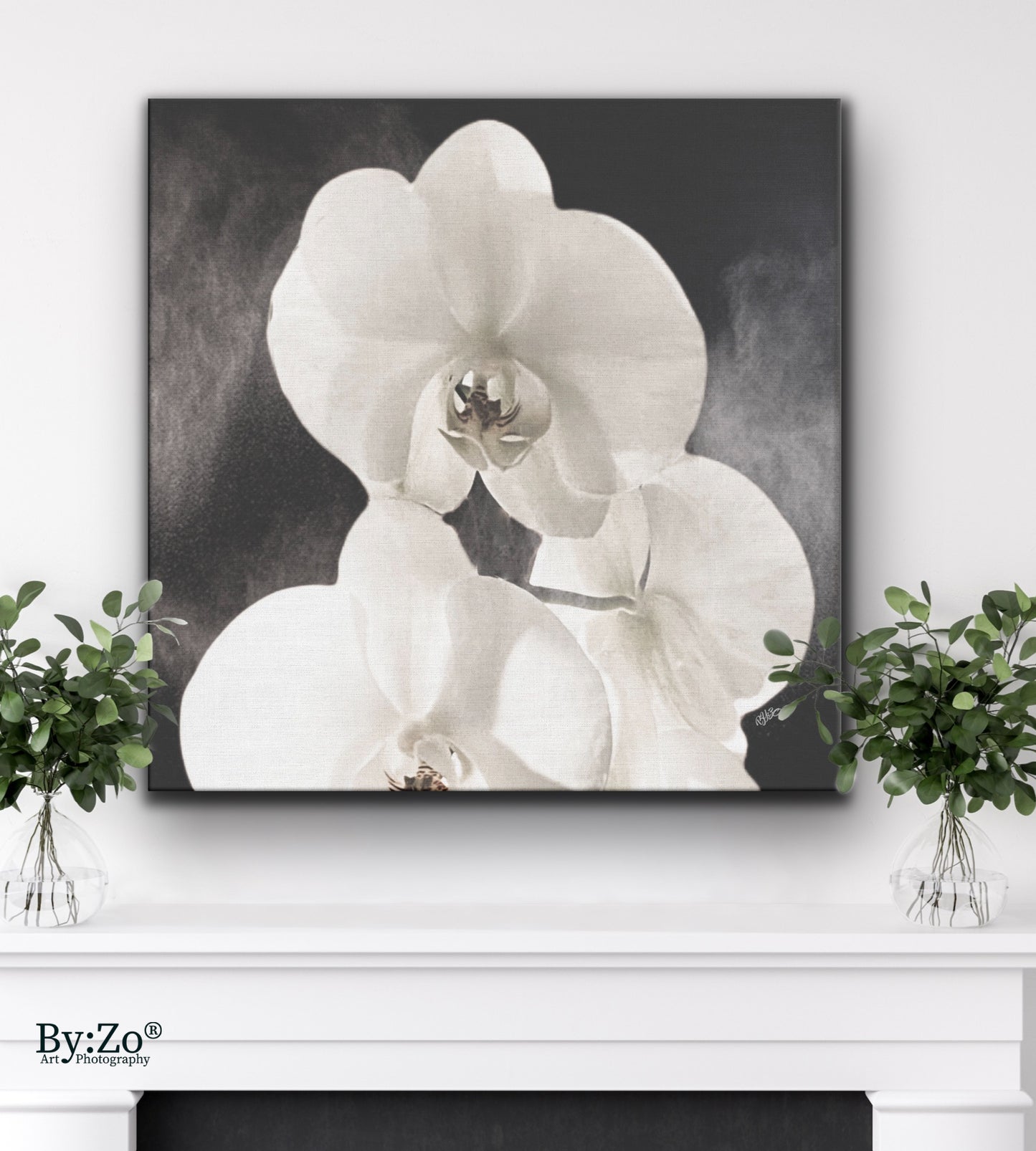 Orchid Drama - By:Zo