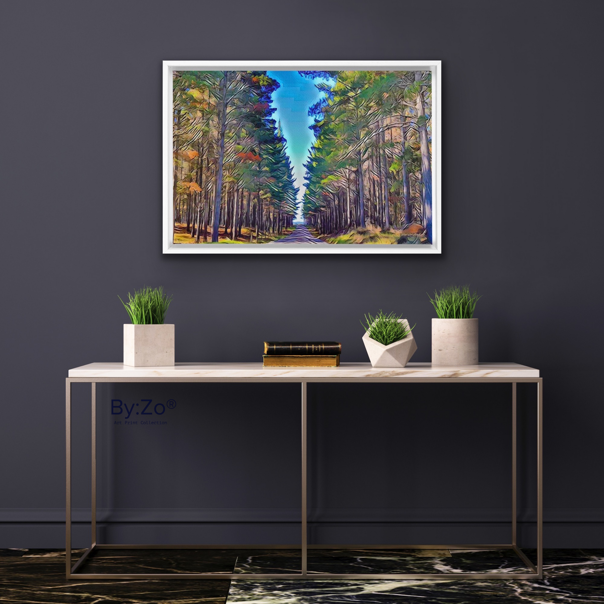 "To This Path I Go" Picasso-Inspired New Zealand Landscape - Floating Framed Canvas Fine-Art Photography teelaunch