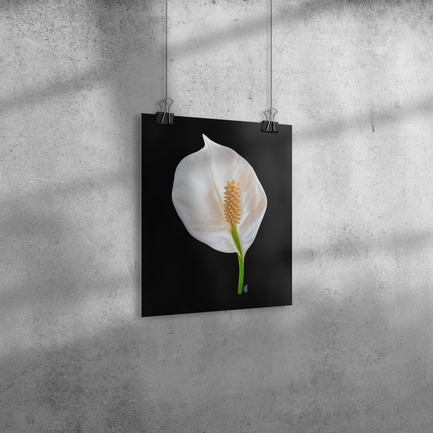 Peace Lily on Blackground Giclee Art Print Original Photography by: Maria Desnoyers at ByZo Art. Print Only Frame not included.