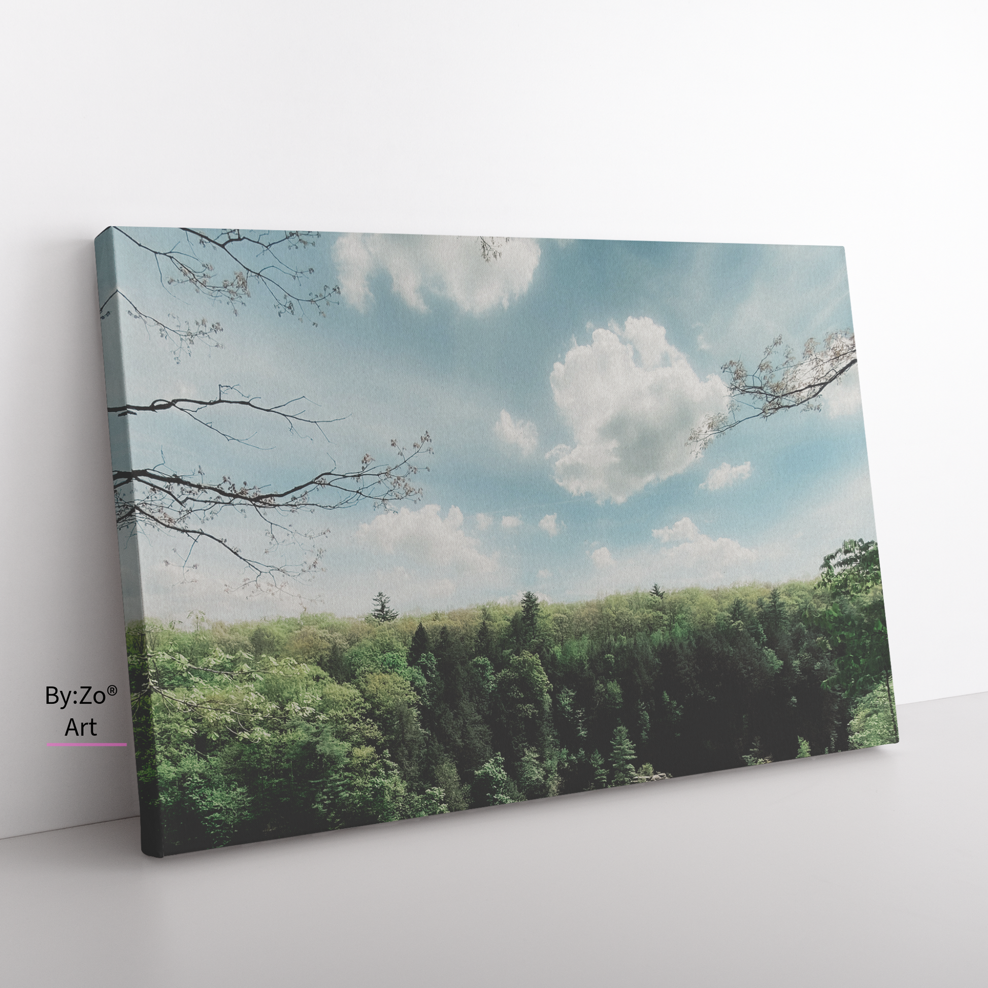 Wrapped Canvas, "Dream" Landscape Fine Art Photography teelaunch