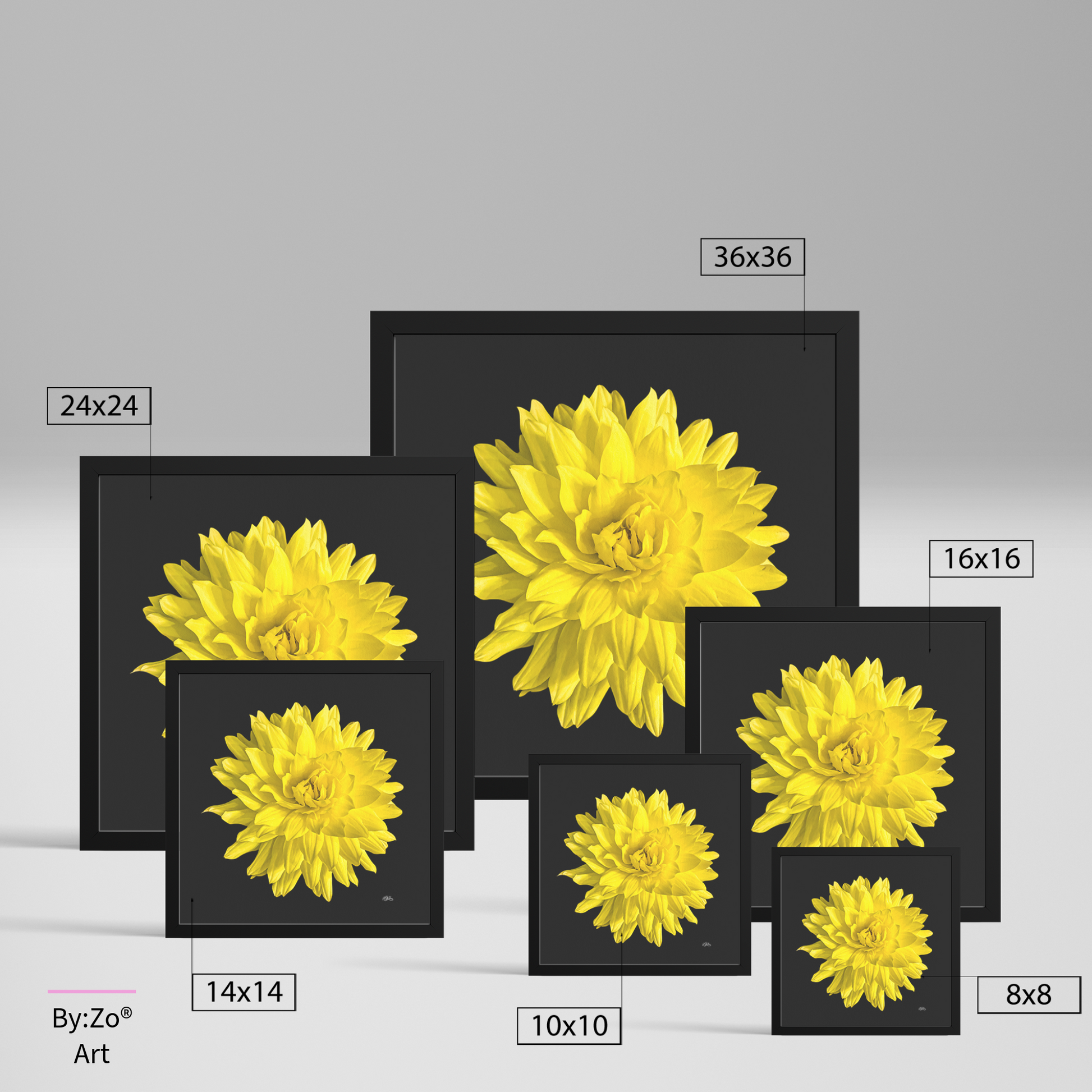 Framed Archival Semi-Gloss Paper, "Dahlia Flower on Black" Original Fine Art Photography teelaunch