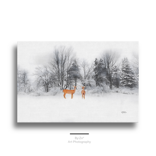 Wrapped Canvas, Deers on Snow Art Photography By:Zo® Art