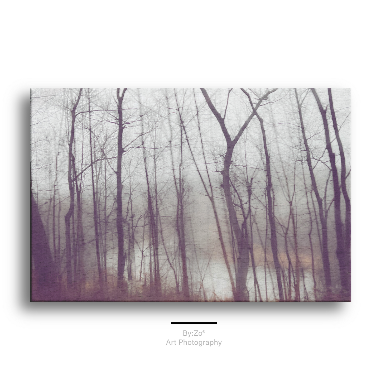 Wrapped Canvas Wall Art, "Frozen Stillness, Woods by the River" teelaunch