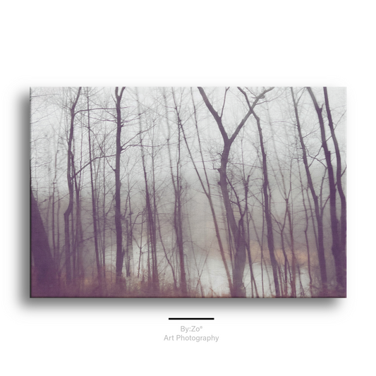 Wrapped Canvas Wall Art, "Frozen Stillness, Woods by the River" teelaunch