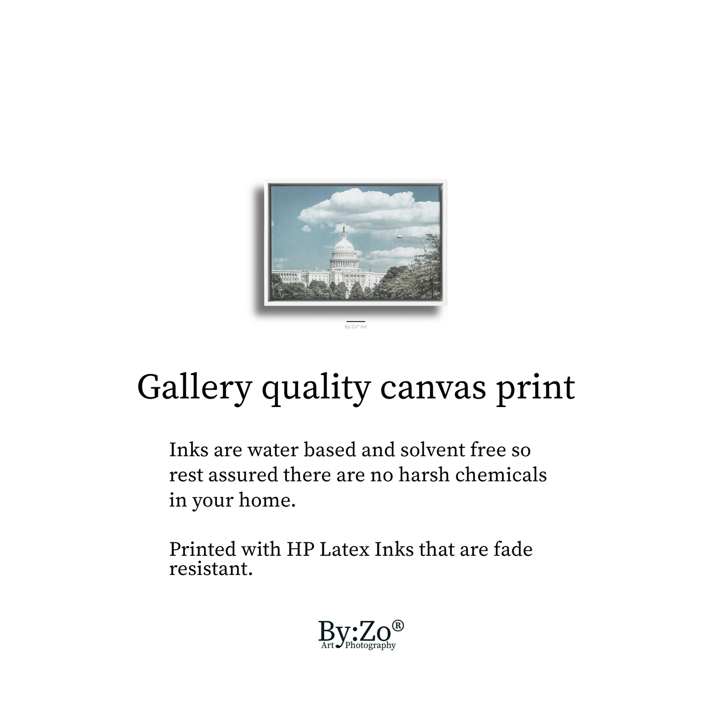Floater Framed Canvas, The Capitol Fine Art Photography teelaunch
