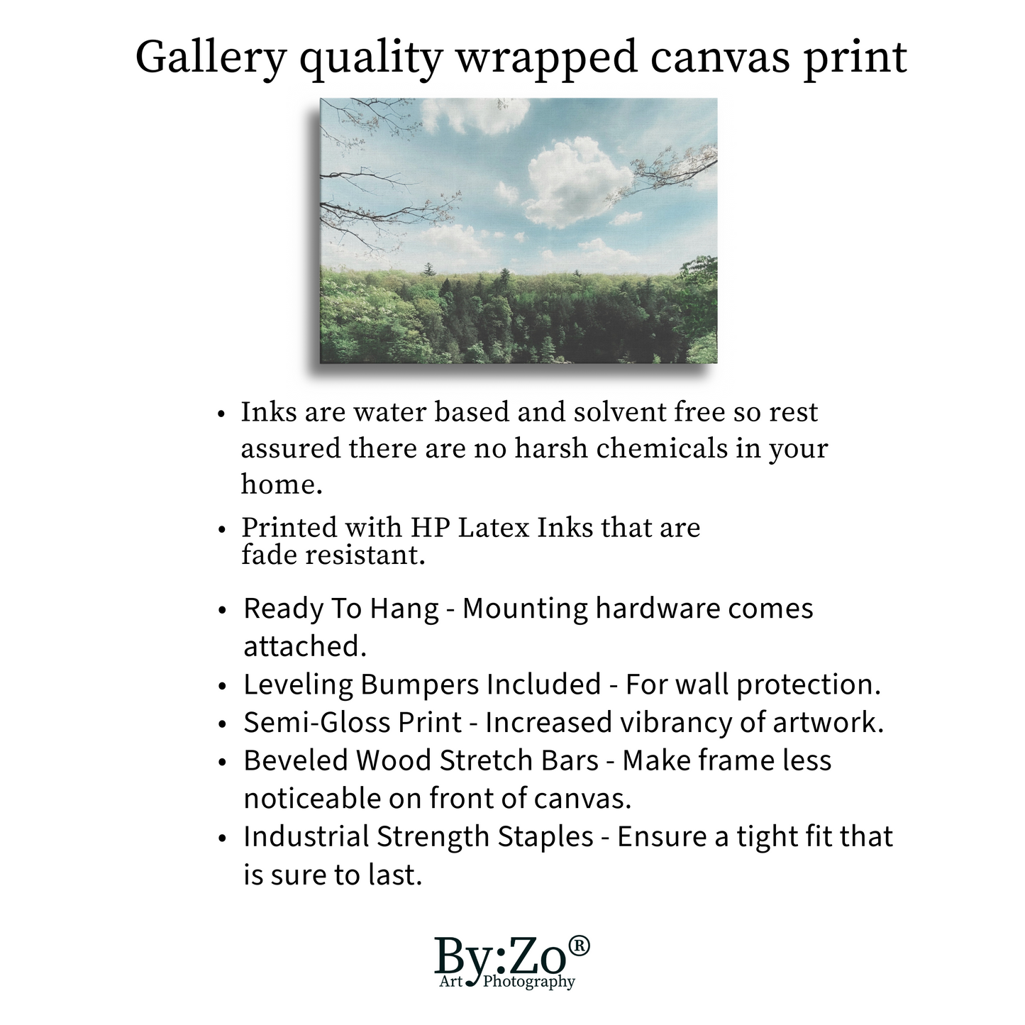 Wrapped Canvas, "Dream" Landscape Fine Art Photography teelaunch