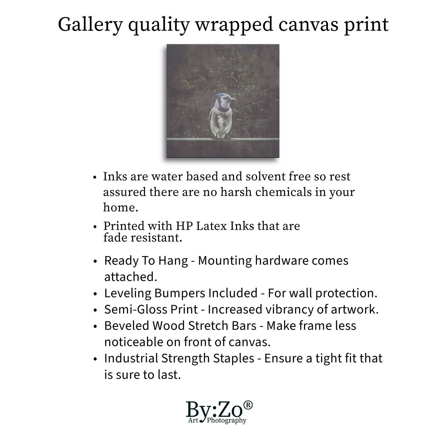 Wrapped Canvas "A Blue Jay's Visit" Original Fine Art Photography teelaunch