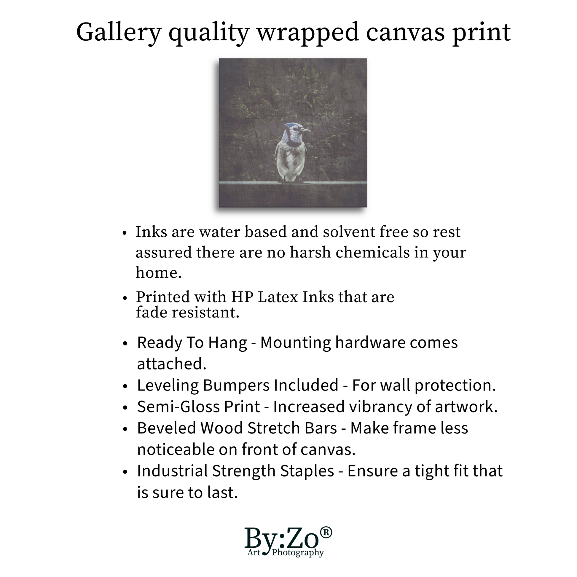 Wrapped Canvas "A Blue Jay's Visit" Original Fine Art Photography teelaunch