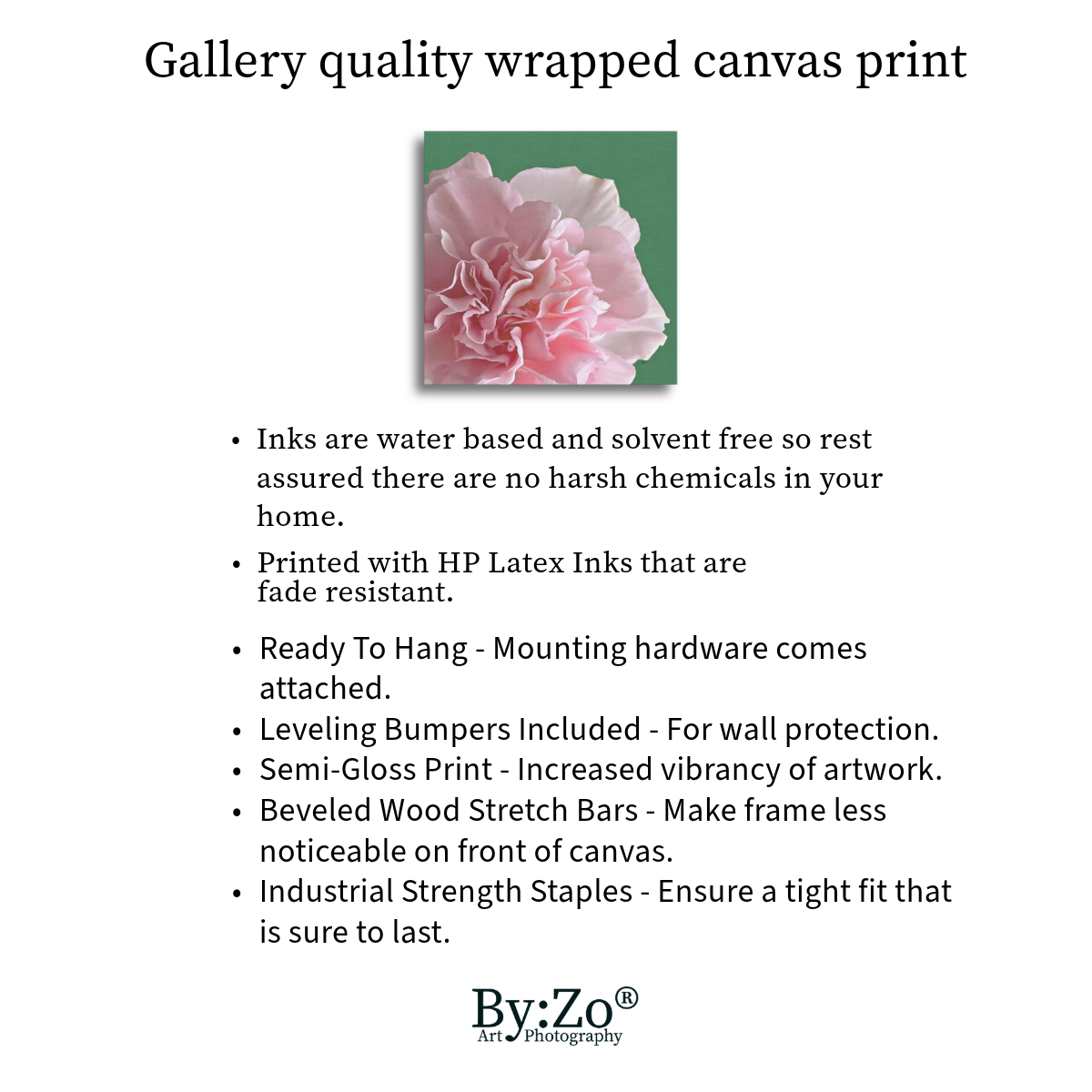 Carnation Flower Canvas Wall Decor Original Photography teelaunch By:Zo