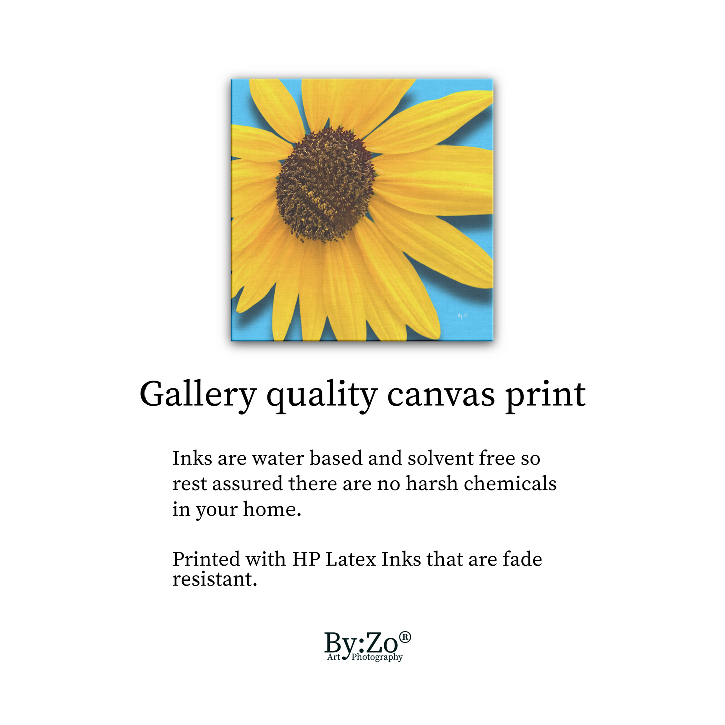 Square Framed Canvas - Sunflower Close-Up on Blue Original ByZo Art teelaunch