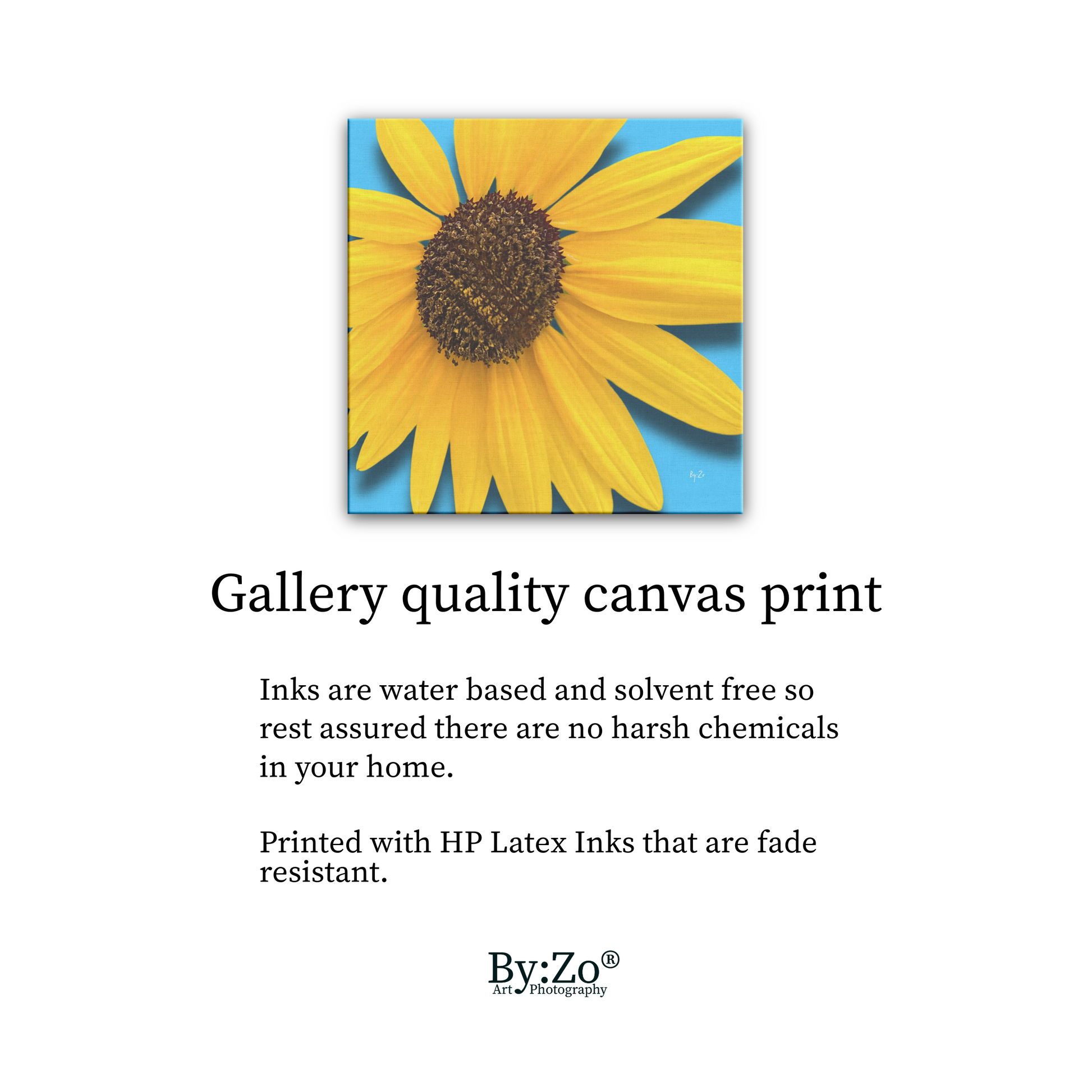 Square Framed Canvas - Sunflower Close-Up on Blue Original ByZo Art teelaunch