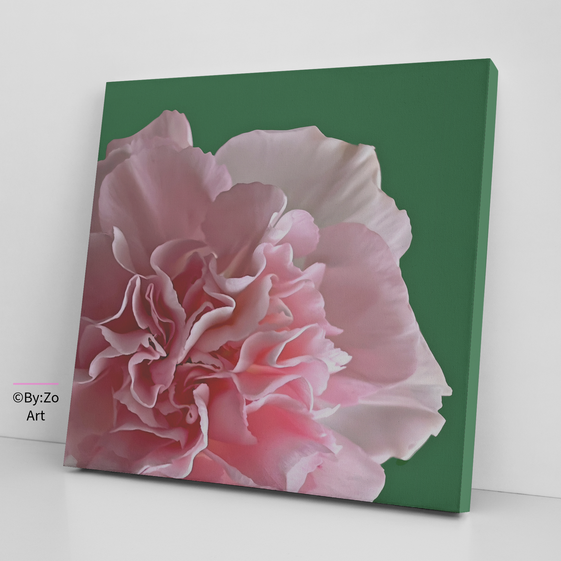 Carnation Flower Canvas Wall Decor Original Photography teelaunch By:Zo