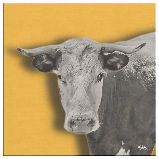 Cow on Canvas teelaunch