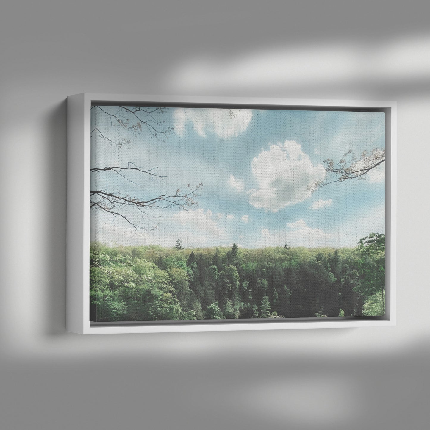 Floater Framed Canvas, "Dream" Landscape Original Fine Art Photography teelaunch