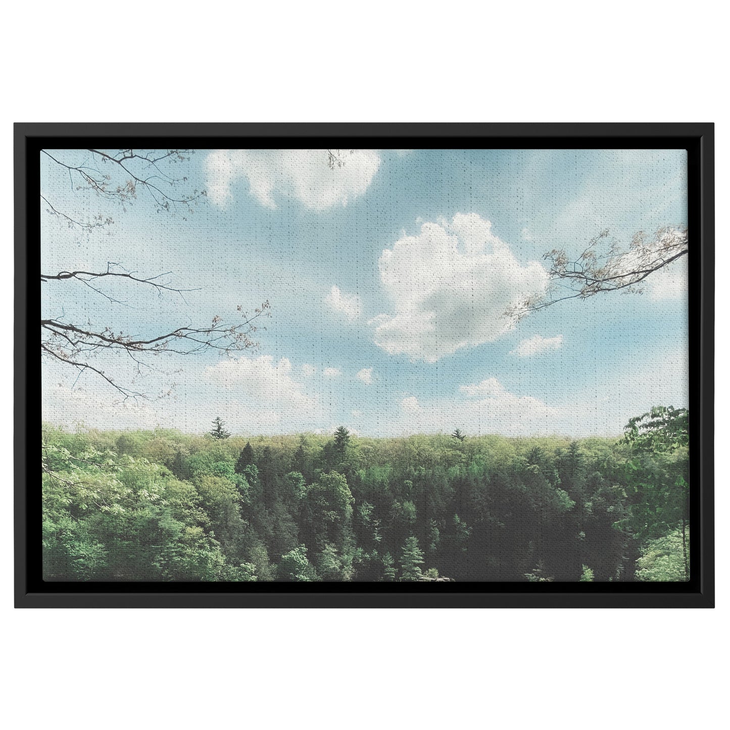 Floater Framed Canvas, "Dream" Landscape Original Fine Art Photography teelaunch