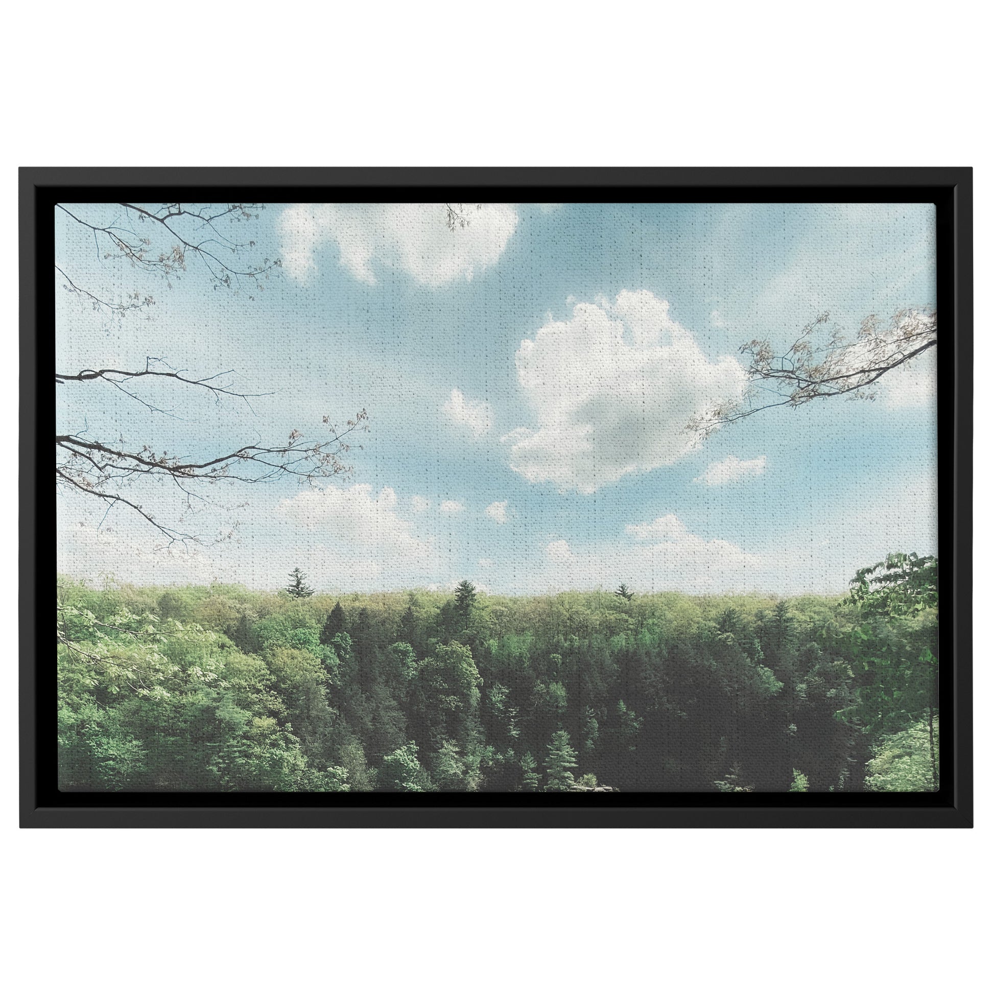 Floater Framed Canvas, "Dream" Landscape Original Fine Art Photography teelaunch