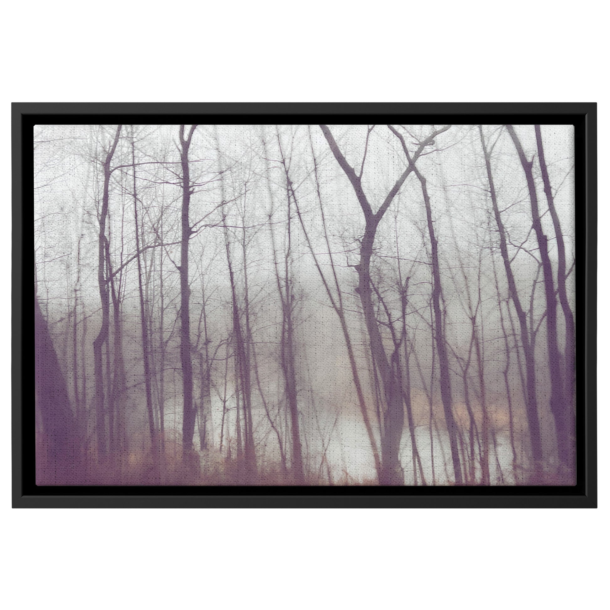 Floater Framed Canvas Wall Art, "Frozen Stillness, Woods by the River" teelaunch