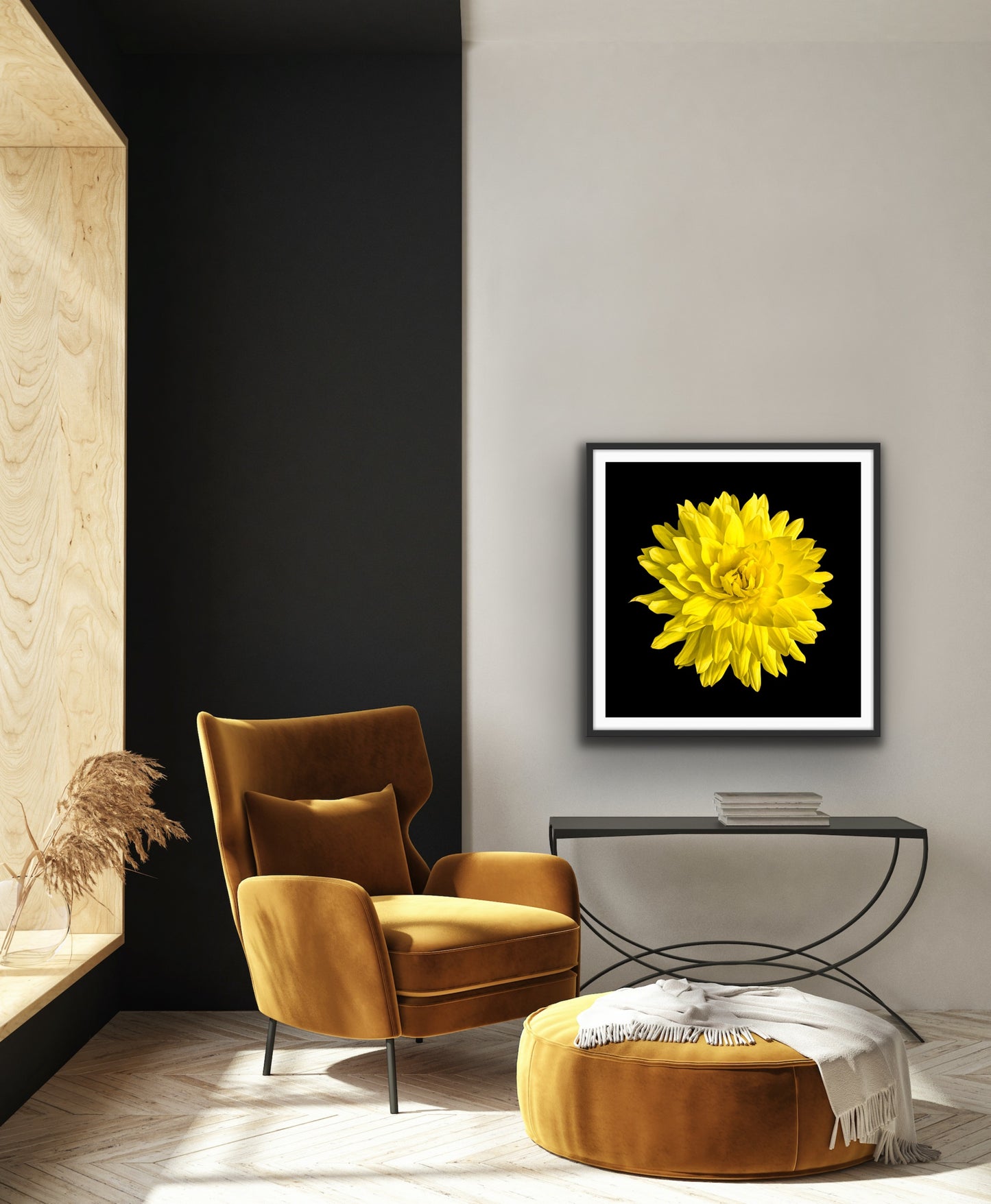 Dahlia In Black - Giclee Art Print - By:Zo