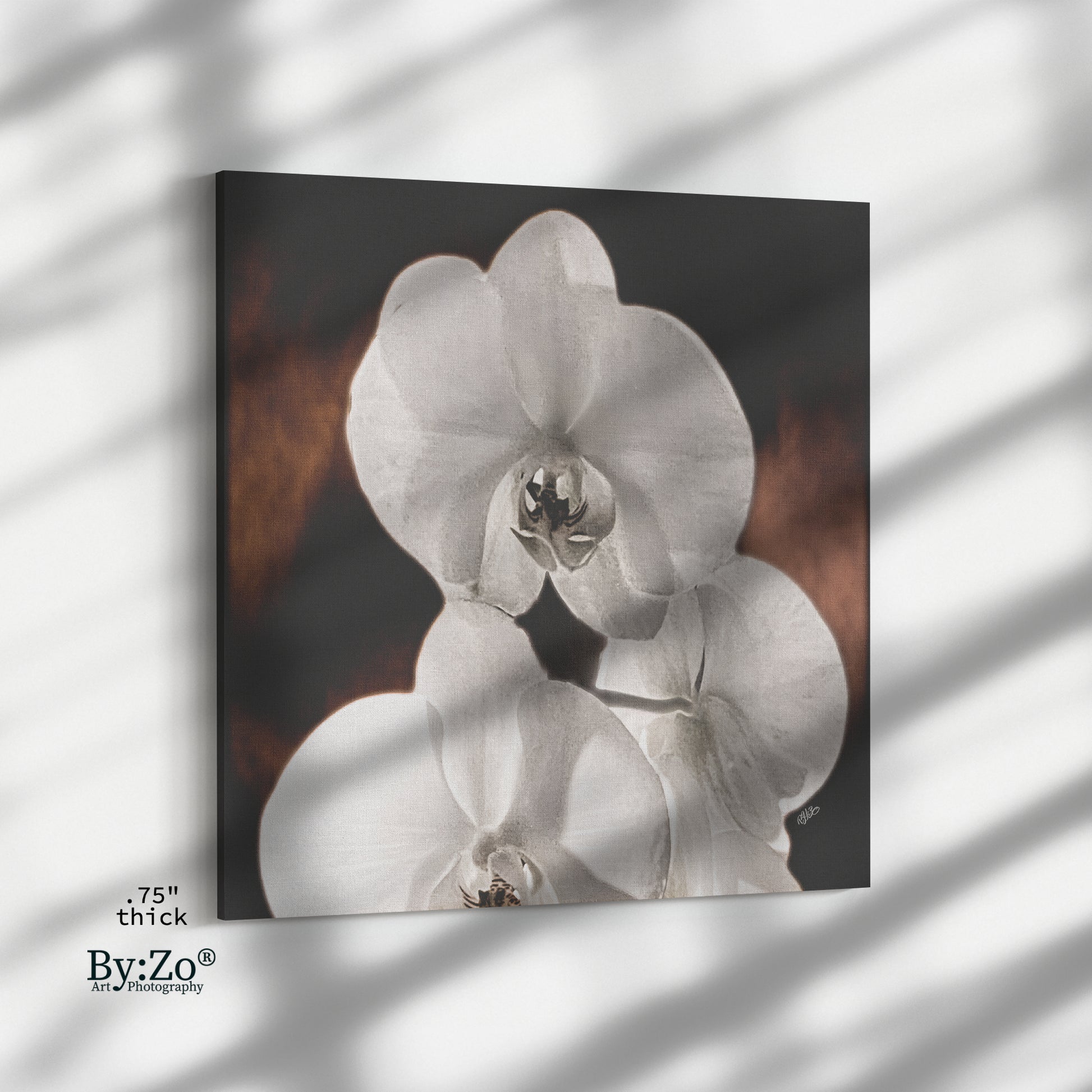 "Orchid Drama" Black Background Gold Splashed - By:Zo