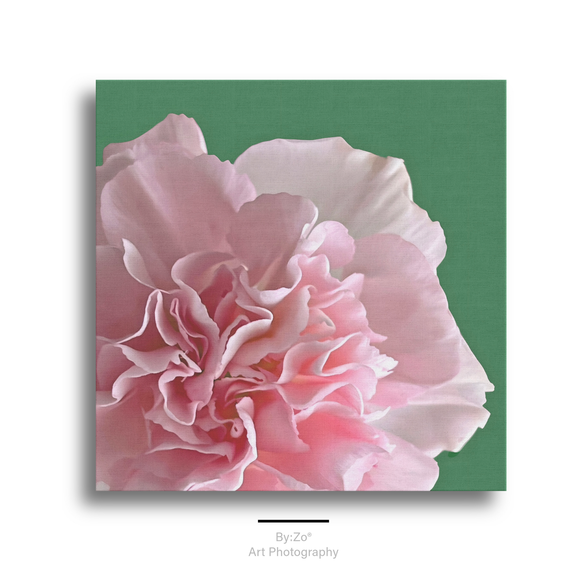 Carnation Flower Canvas Wall Decor Original Photography teelaunch By:Zo