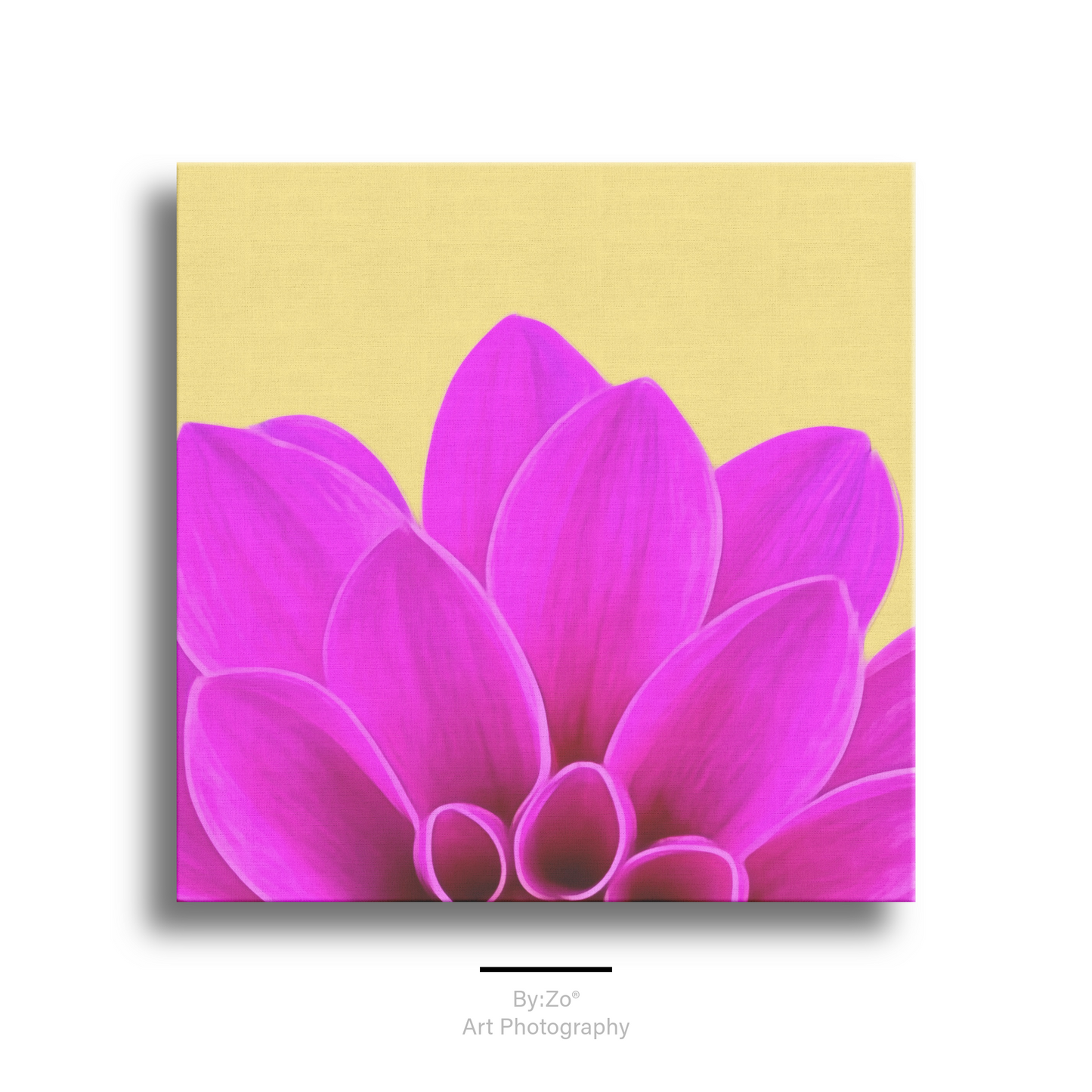 Wrapped Canvas "Vibrant Pink Dahlia on Yellow" ByZo Art Photography teelaunch