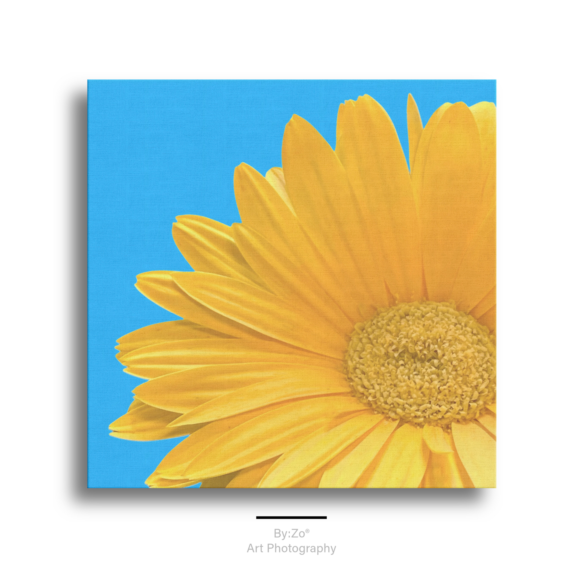 Vibrant Daisy on Blue - Wrapped Canvas by ByZo Art Photography teelaunch