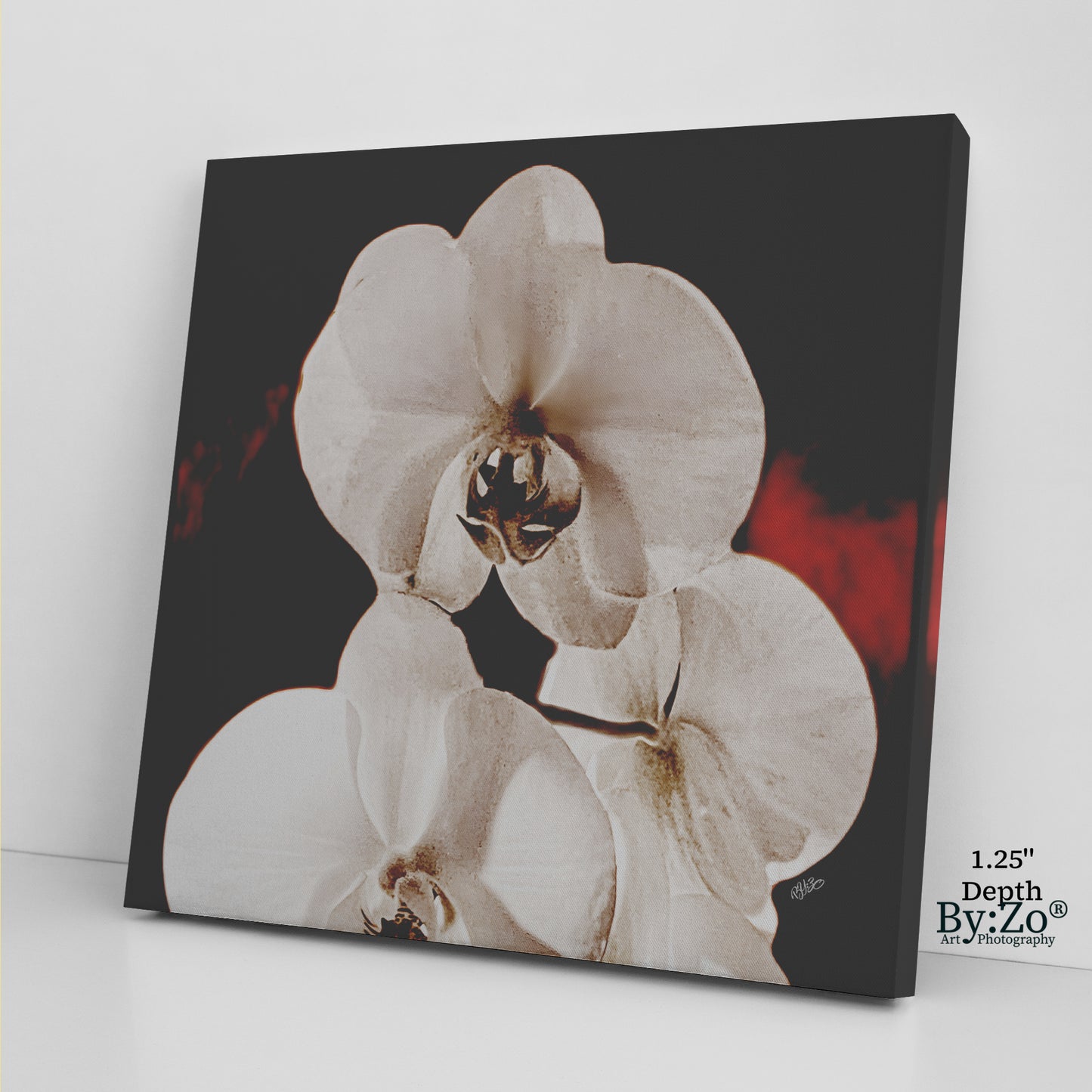Orchid Drama, Red Splashed Fine Art Photography - By:Zo