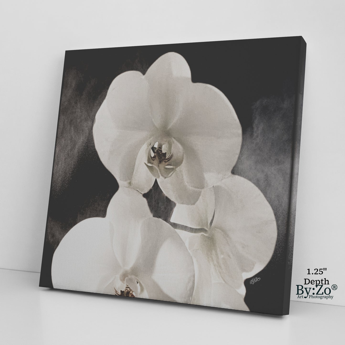 Orchid Drama - By:Zo