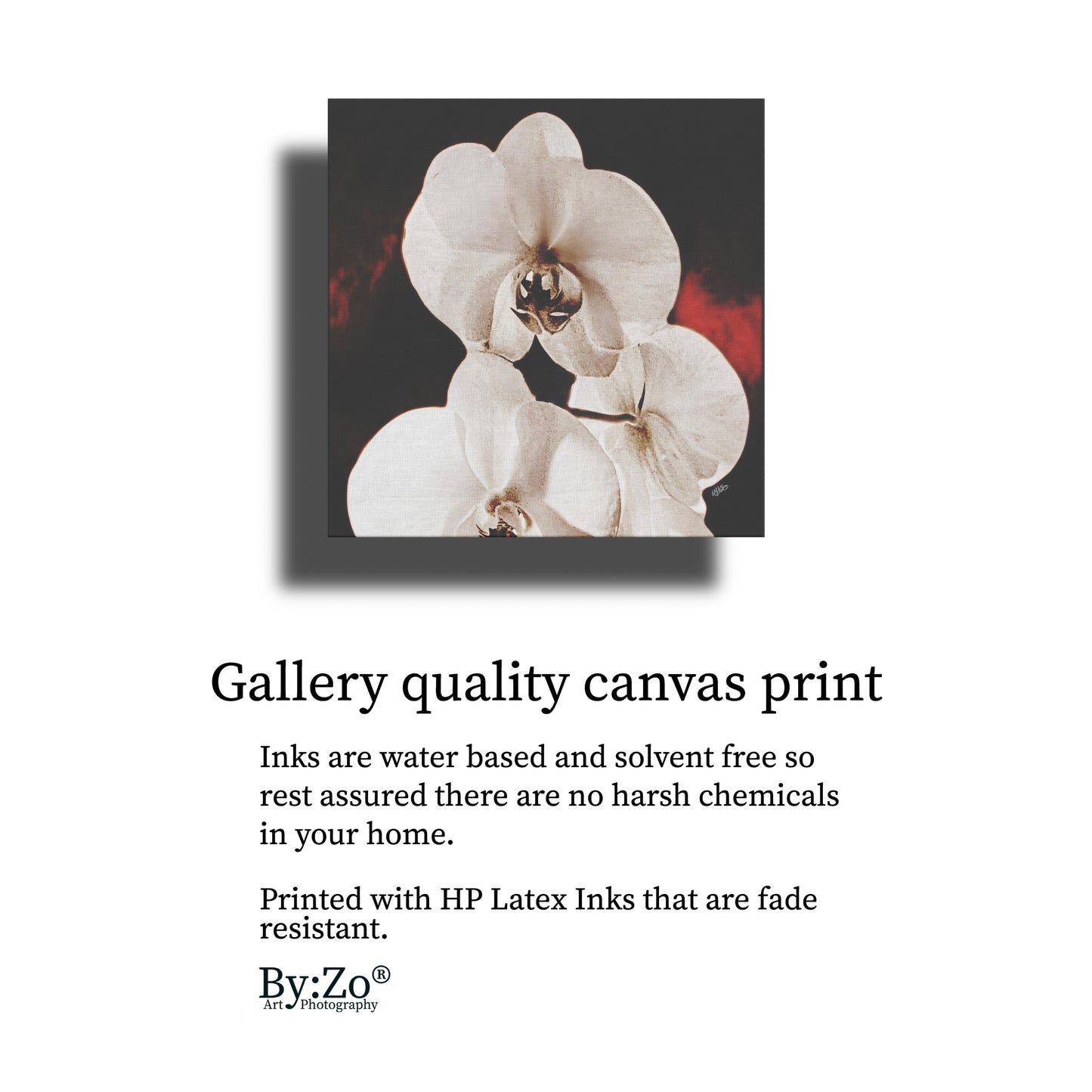 Orchid Drama, Red Splashed Fine Art Photography - By:Zo