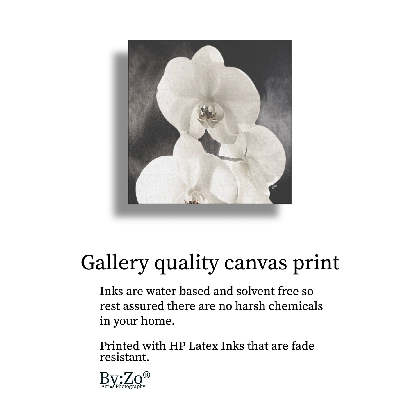 Orchid Drama - By:Zo