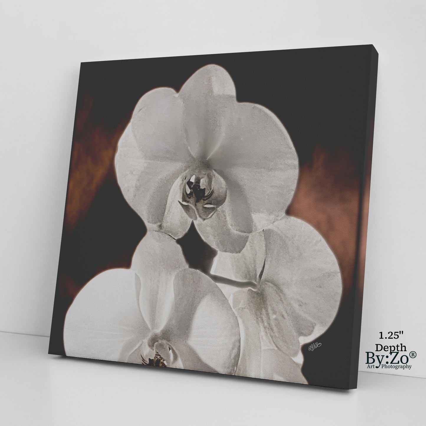 "Orchid Drama" Black Background Gold Splashed - By:Zo