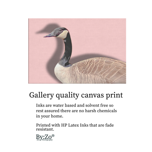 Spring Vibes Canadian Goose teelaunch By:Zo®