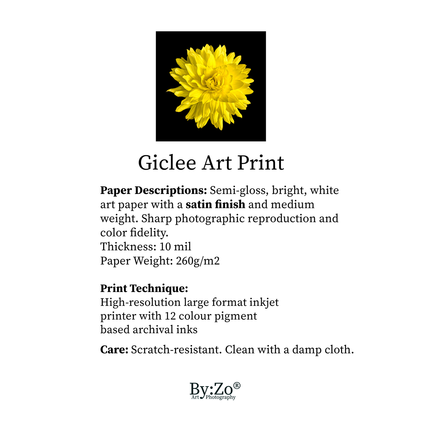 Dahlia In Black - Giclee Art Print Original Photography By:Zo (Gooten, Teelaunch)