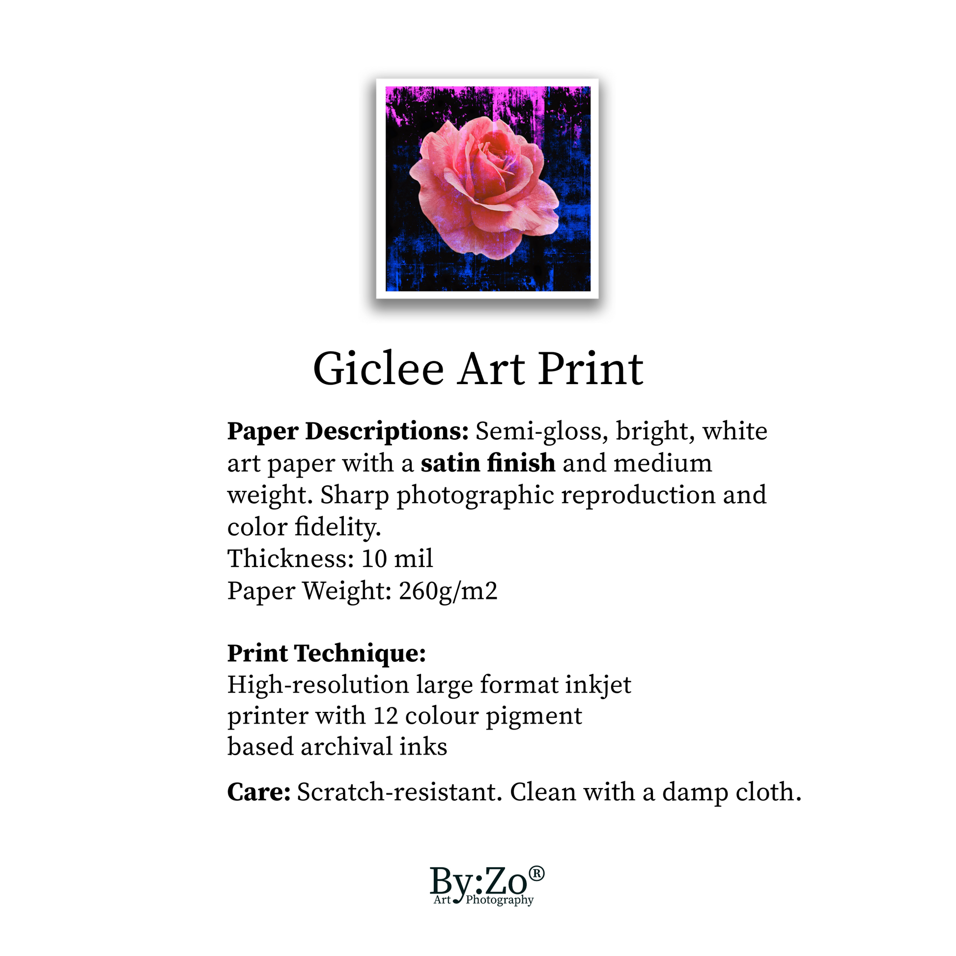 Rose Color Splashed Giclee Art Prints By:Zo