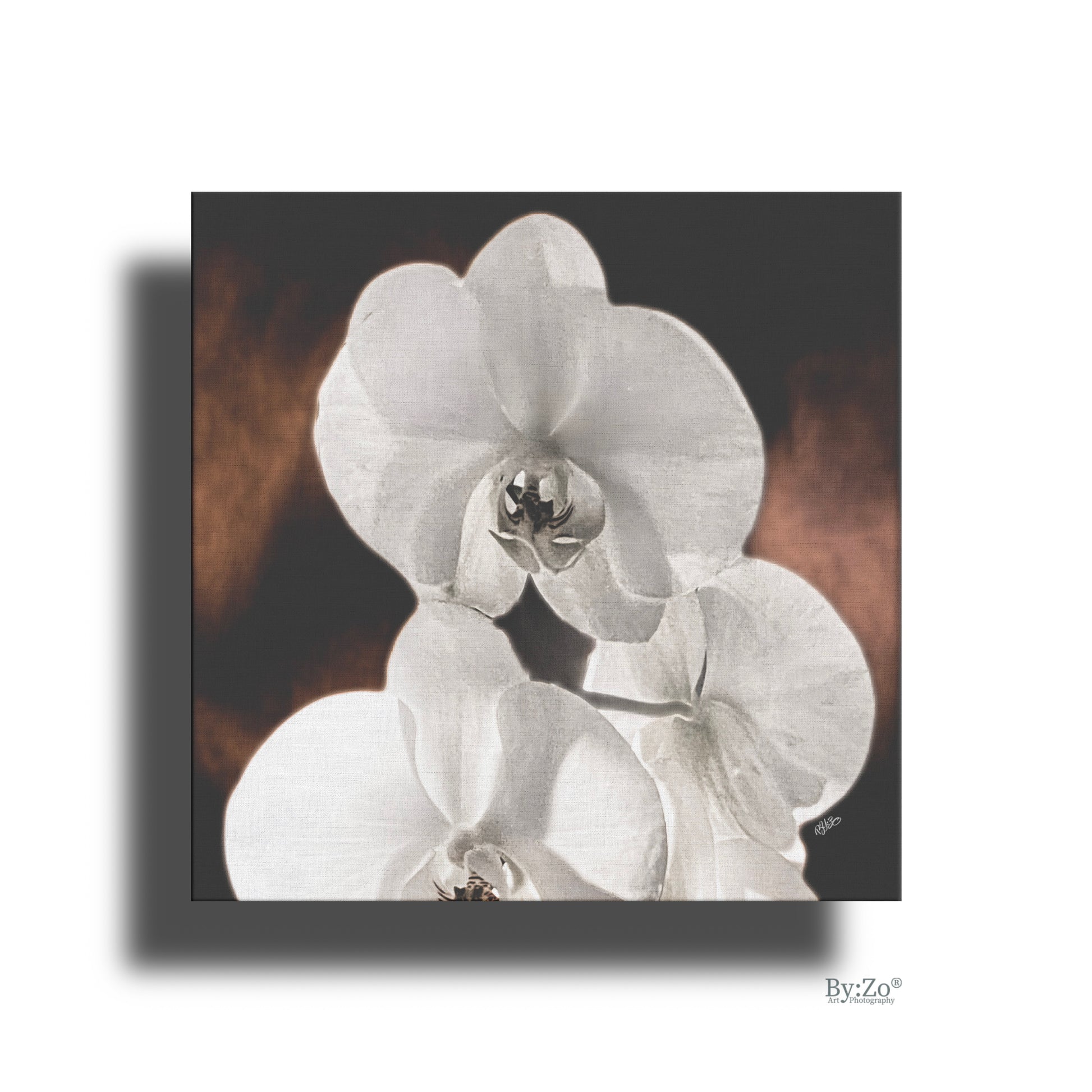 "Orchid Drama" Black Background Gold Splashed - By:Zo