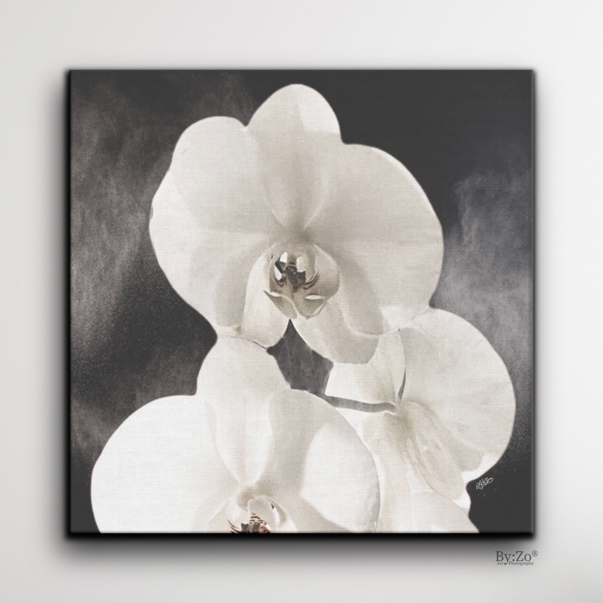 Orchid Drama - By:Zo