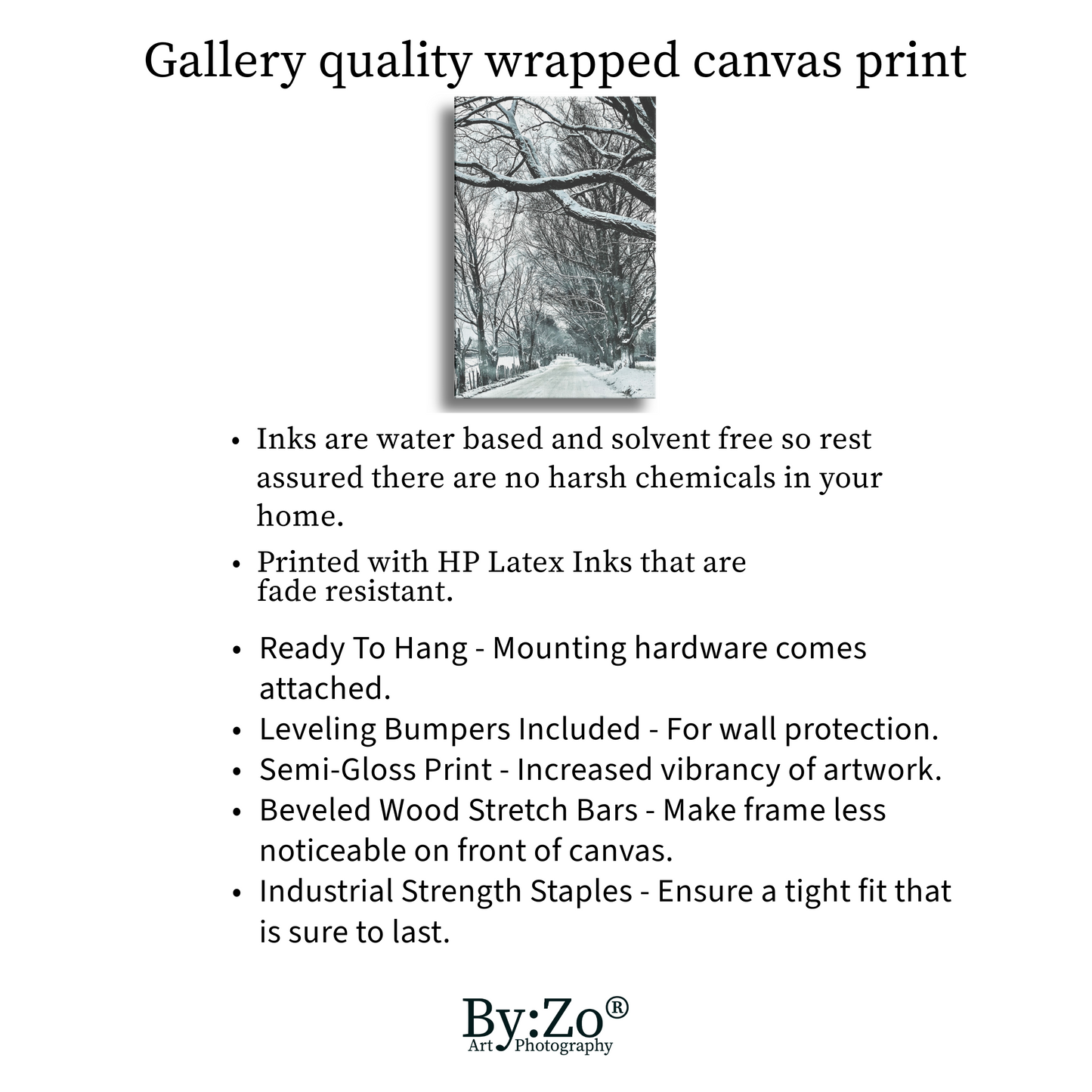 Wrapped Canvas, "Winter Country Road" Original ByZo Art Photography - By:Zo