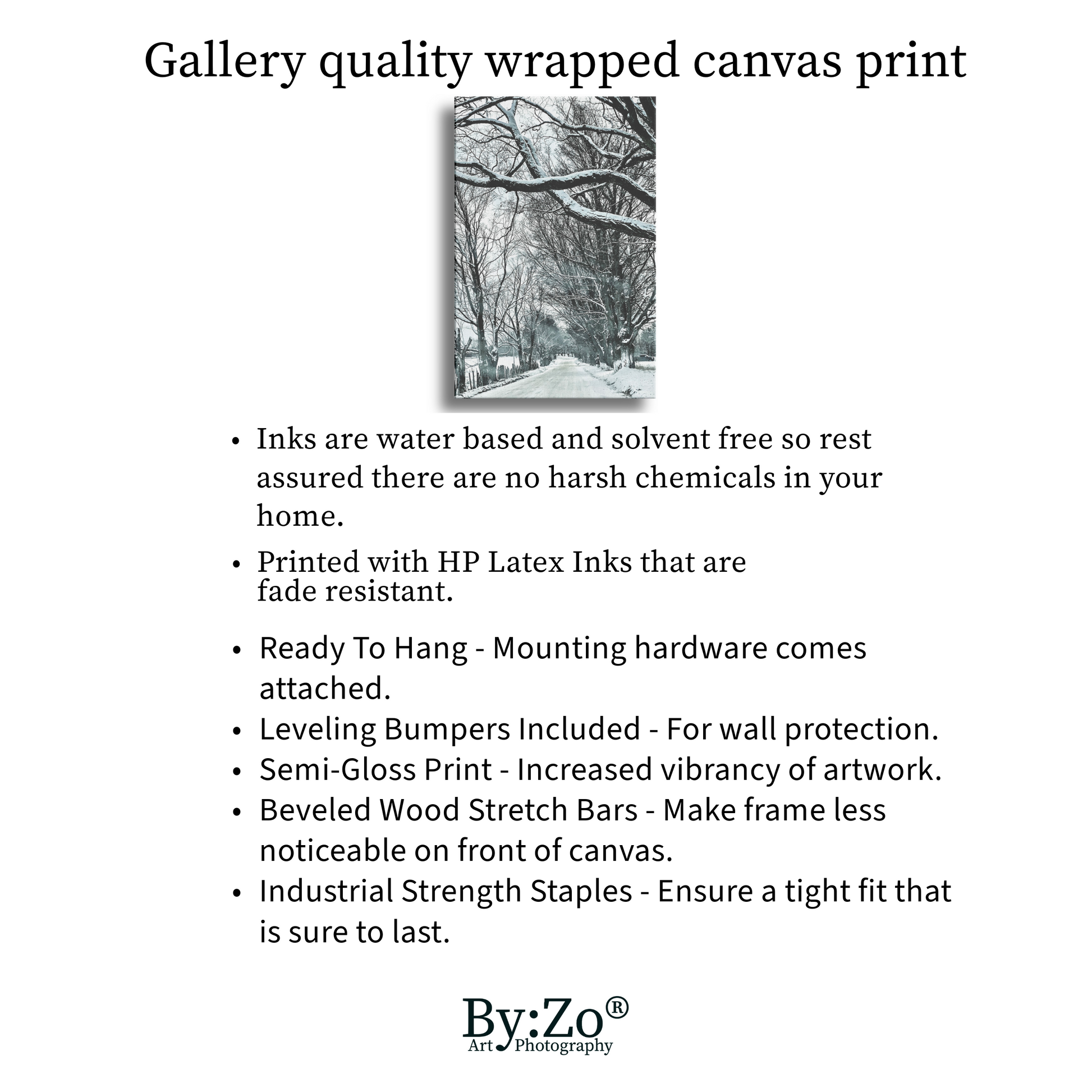 Wrapped Canvas, "Winter Country Road" Original ByZo Art Photography - By:Zo