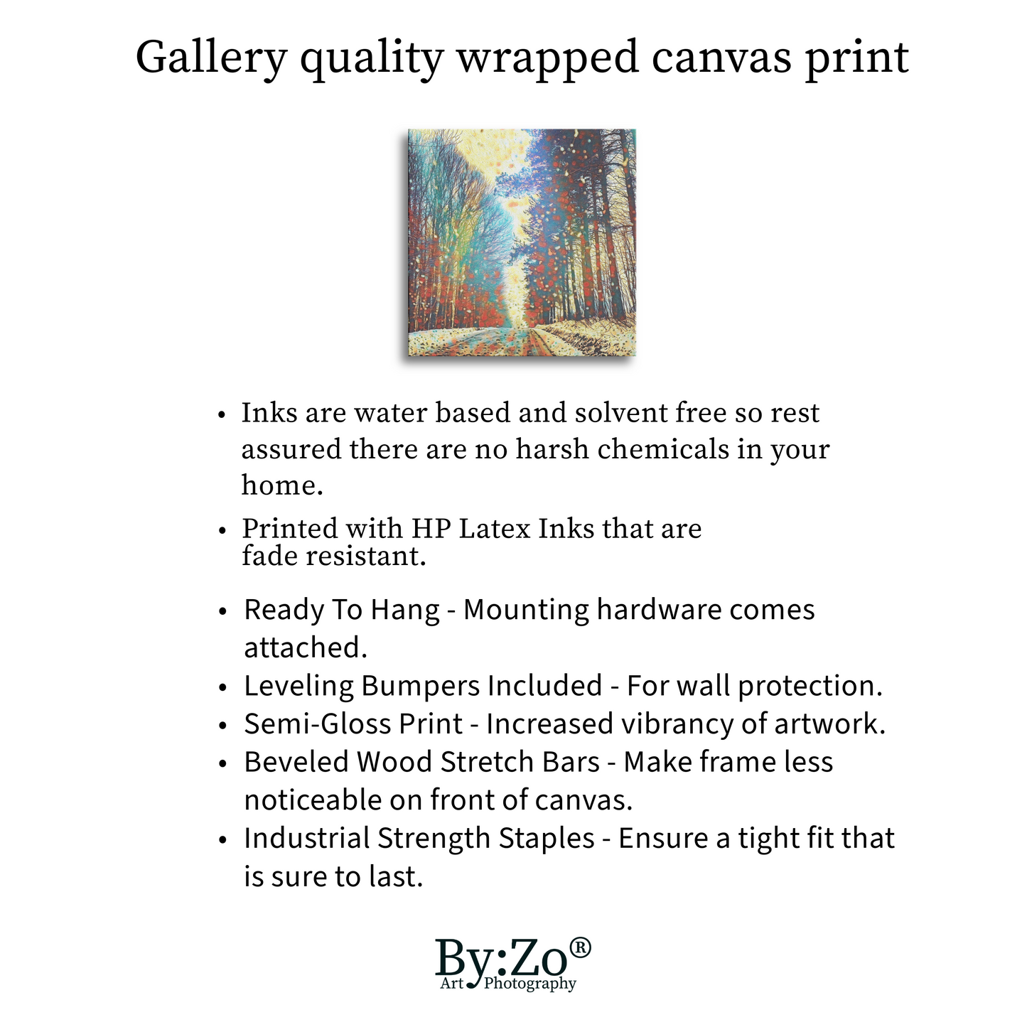 Square Wrapped Canvas "Chilly Route" Original Photography Mixed Media - By:Zo