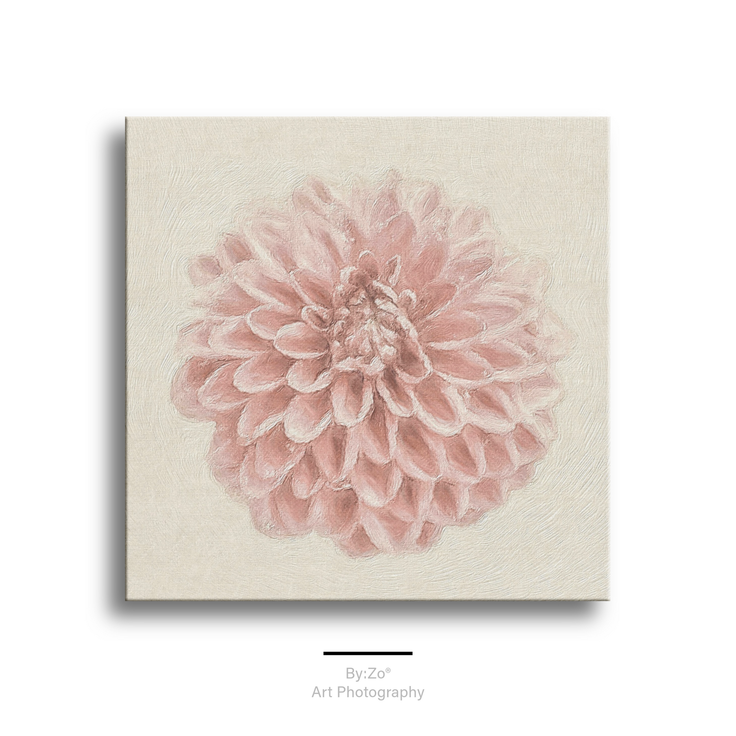 Wrapped Canvas "Pastel Pink Dahlia Flower " Original Photography teelaunch By:Zo